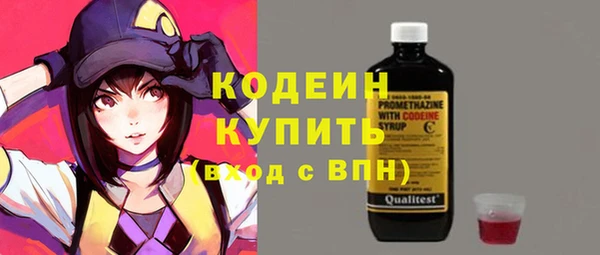 шишки Елабуга
