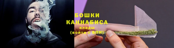 шишки Елабуга