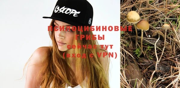 гашиш Елизово