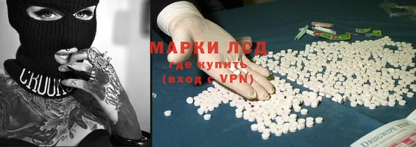 шишки Елабуга