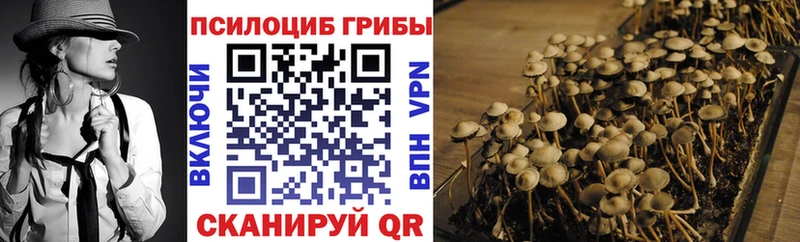 Галлюциногенные грибы GOLDEN TEACHER  Купить  Пущино 